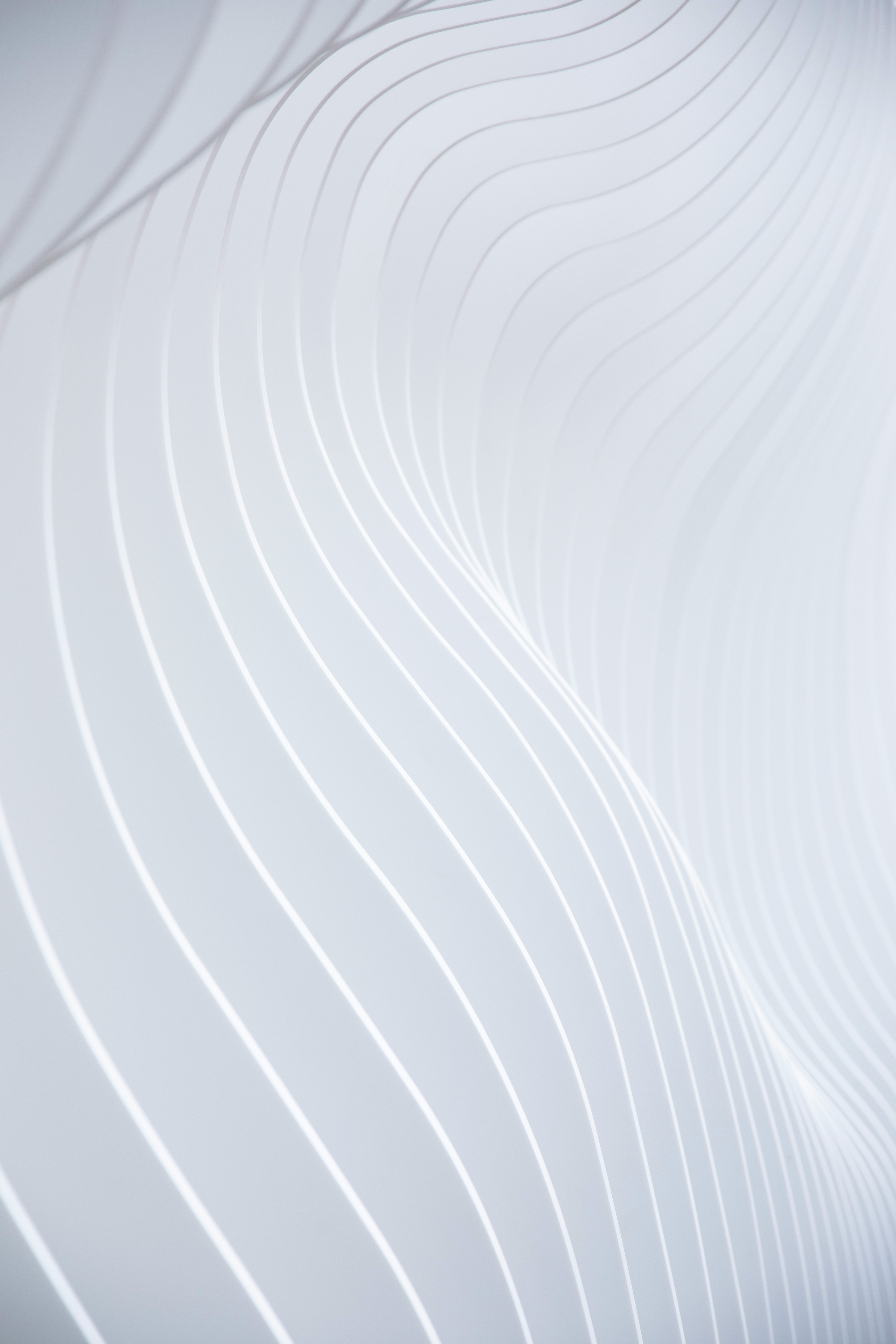 Portfolio website project image